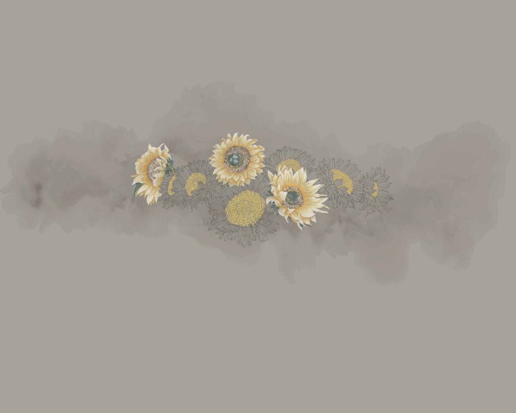 ورود