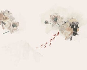 ورود