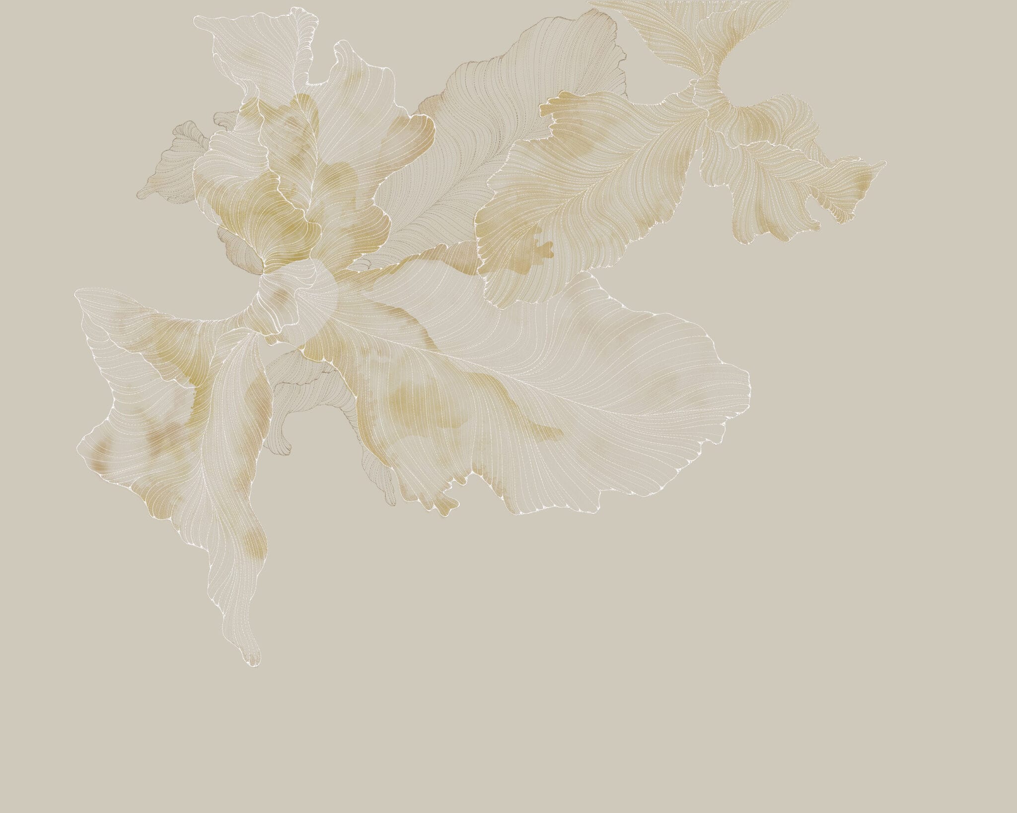 ورود