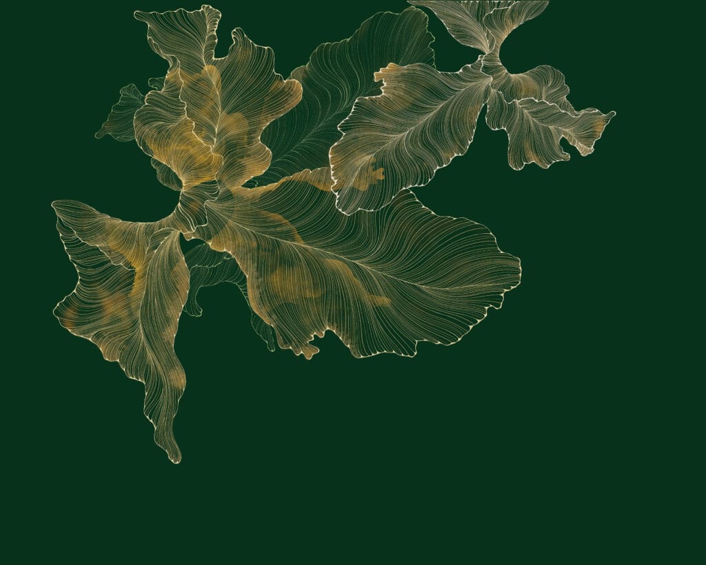ورود