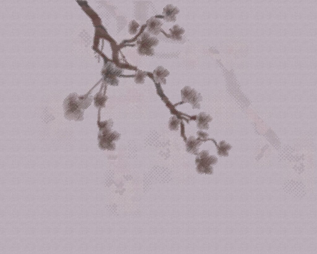 ورود