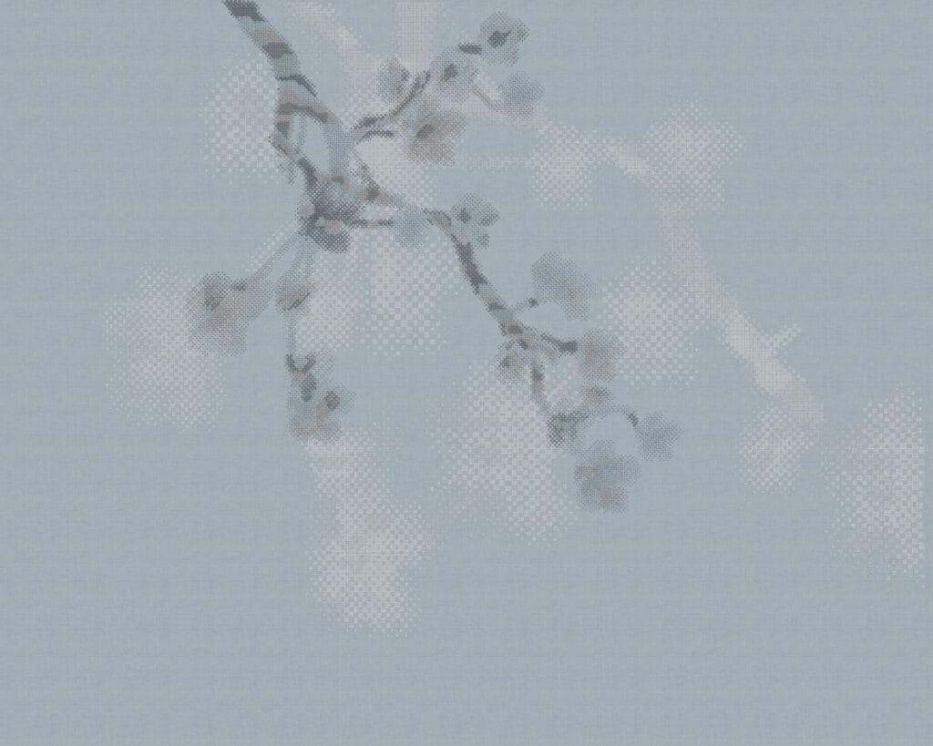 ورود