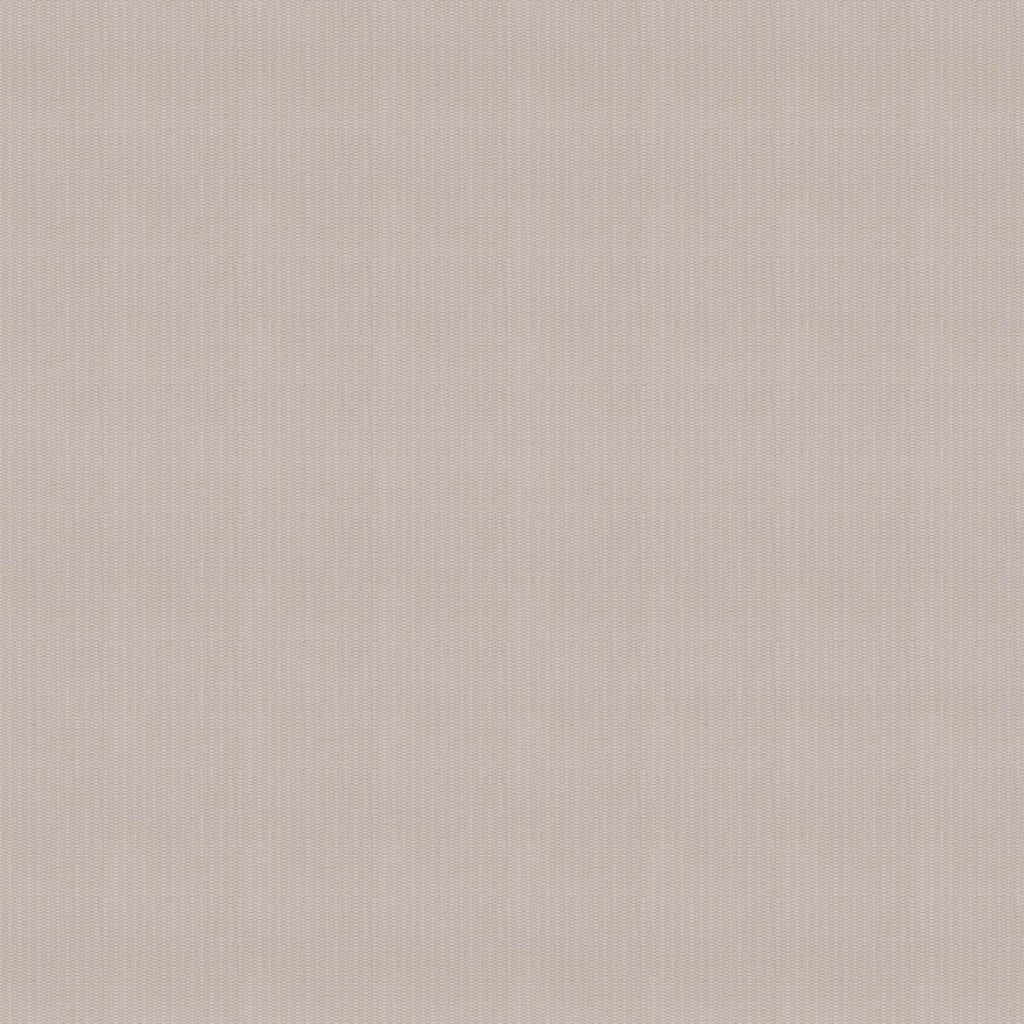 مجرد