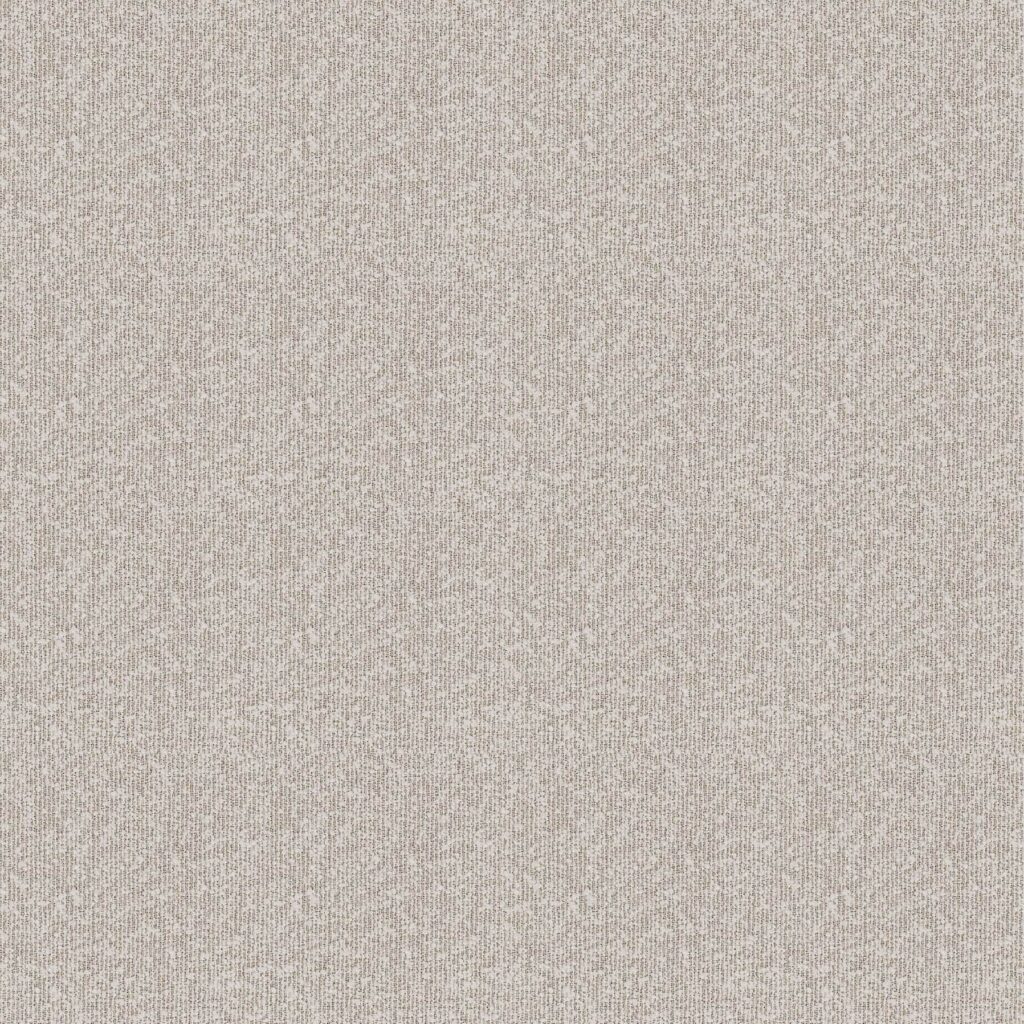 مجرد