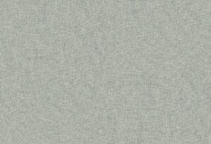 مجرد